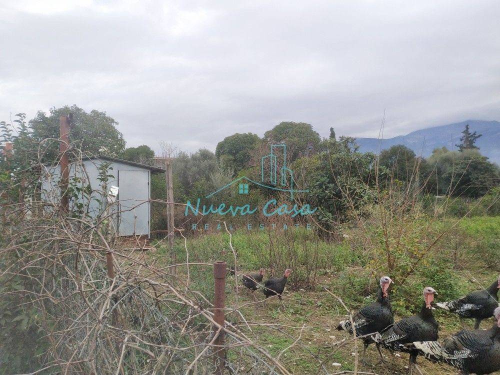 Άποψη χώρου