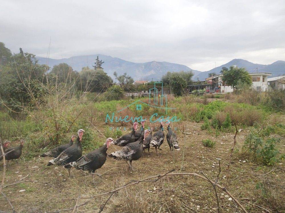 Άποψη χώρου