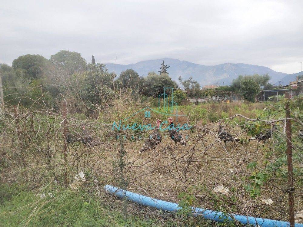 Άποψη χώρου