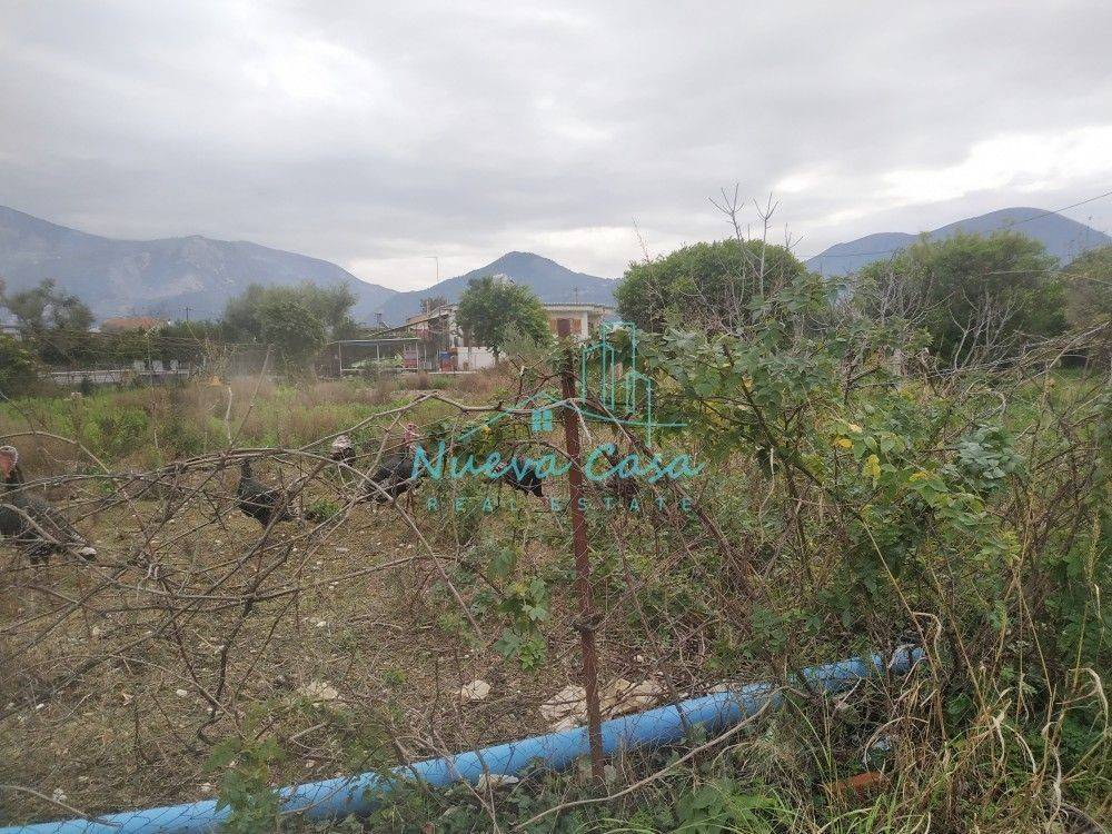 Άποψη χώρου