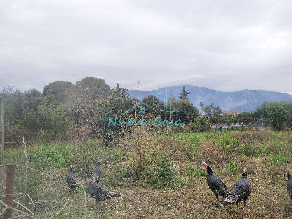 Άποψη χώρου