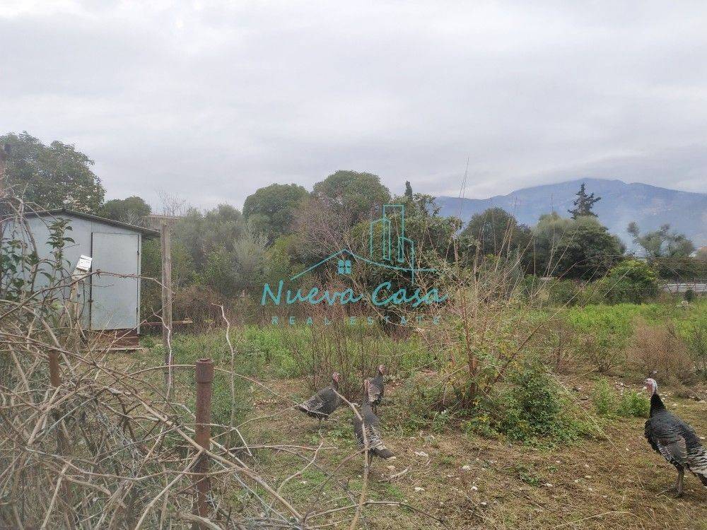 Άποψη χώρου