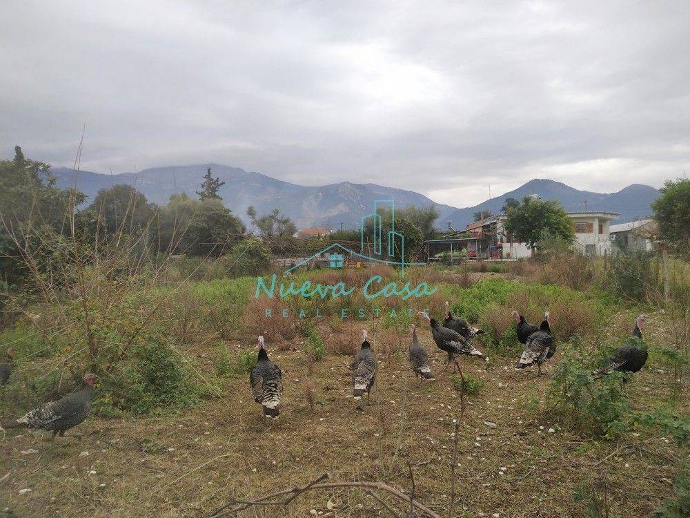 Άποψη χώρου