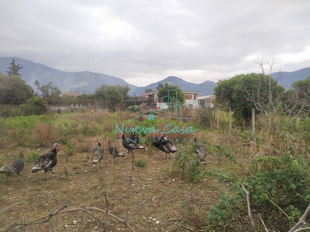 Άποψη χώρου