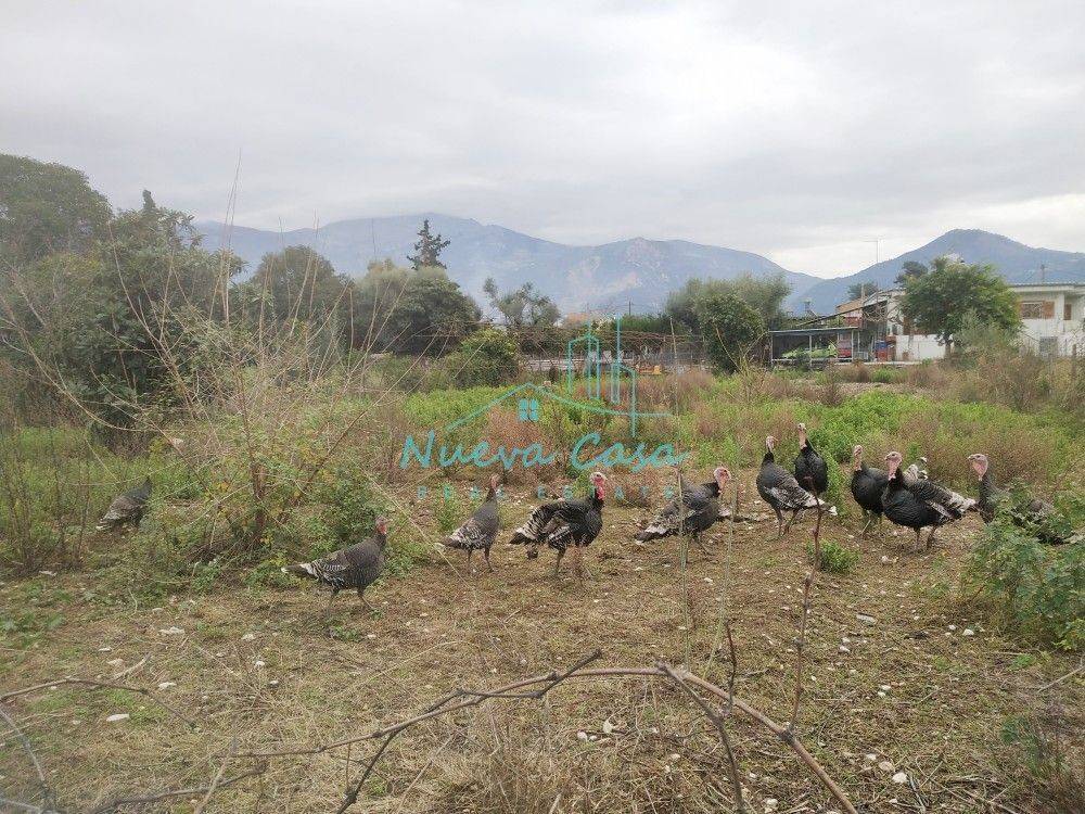 Άποψη χώρου