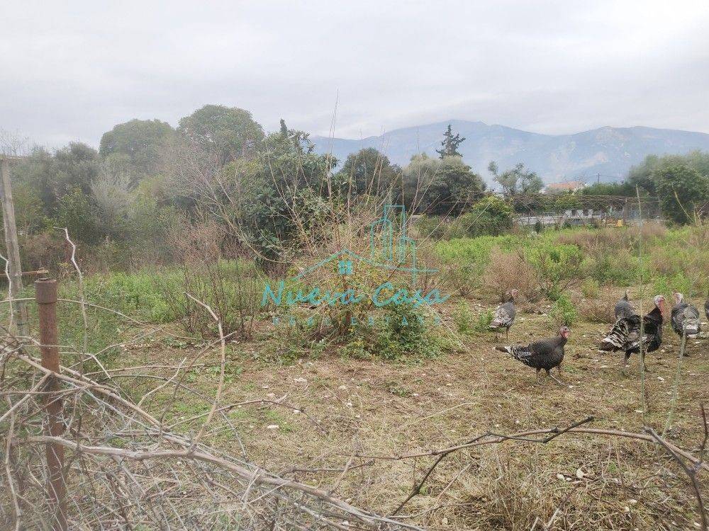 Άποψη χώρου