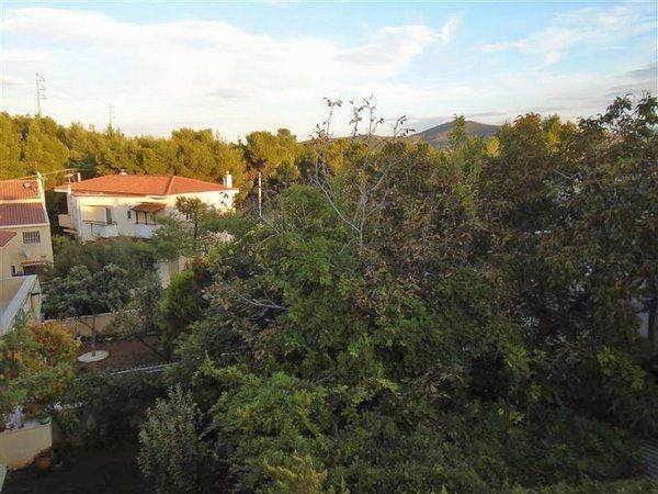 Καταπράσινη, ρυμοτομημένη γειτονιά