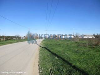 ΕΞΩΤΕΡΙΚΗ ΛΗΨΗ