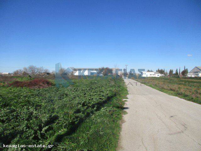 ΕΞΩΤΕΡΙΚΗ ΛΗΨΗ