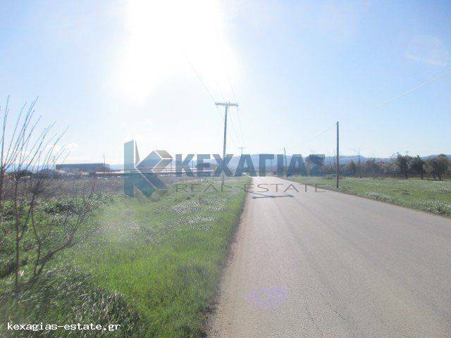 ΕΞΩΤΕΡΙΚΗ ΛΗΨΗ