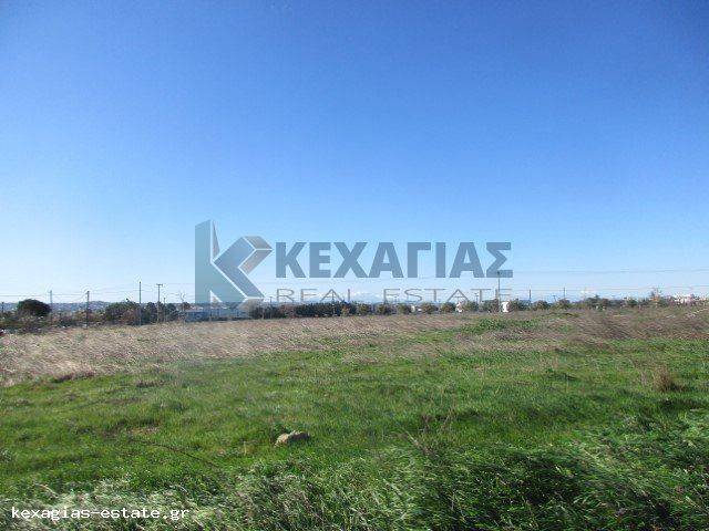 ΕΞΩΤΕΡΙΚΗ ΛΗΨΗ