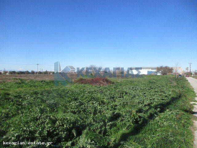ΕΞΩΤΕΡΙΚΗ ΛΗΨΗ