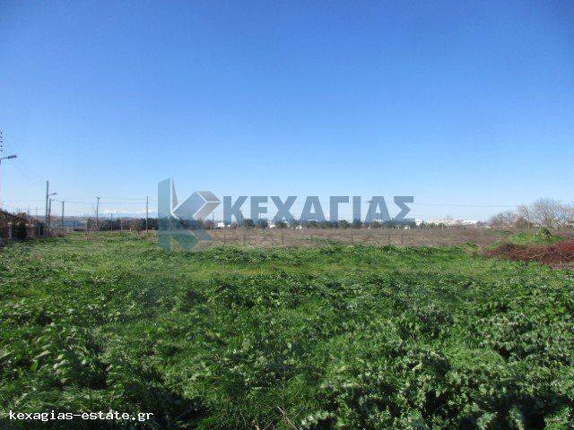 ΕΞΩΤΕΡΙΚΗ ΛΗΨΗ