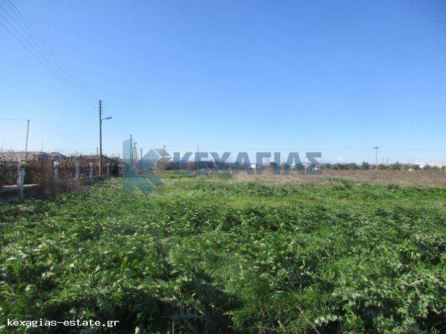 ΕΞΩΤΕΡΙΚΗ ΛΗΨΗ