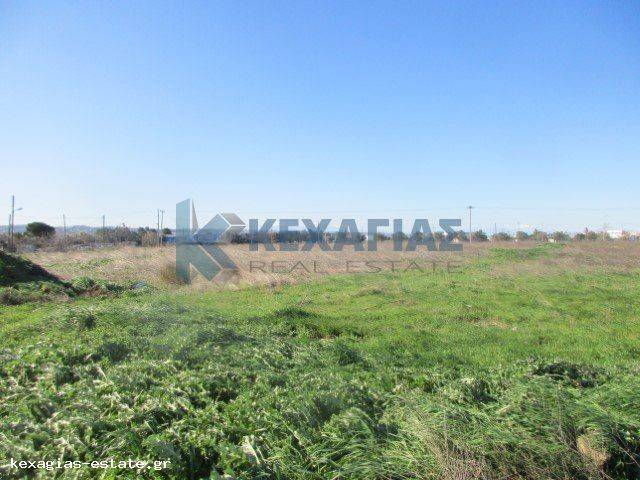 ΕΞΩΤΕΡΙΚΗ ΛΗΨΗ