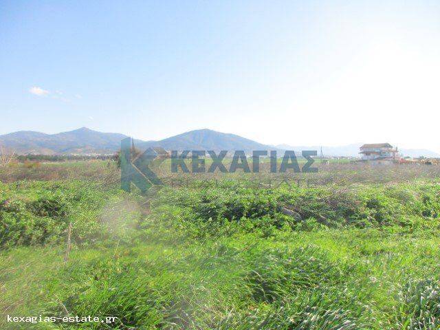 ΕΞΩΤΕΡΙΚΗ ΛΗΨΗ