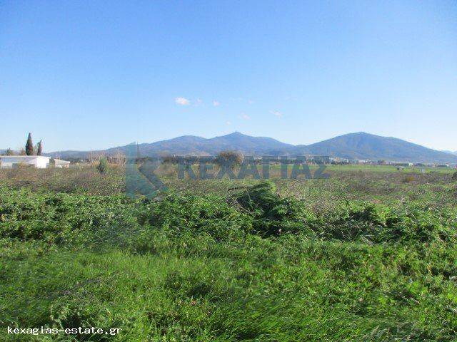 ΕΞΩΤΕΡΙΚΗ ΛΗΨΗ