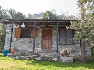 ΜΟΝΟΚΑΤΟΙΚΙΑ