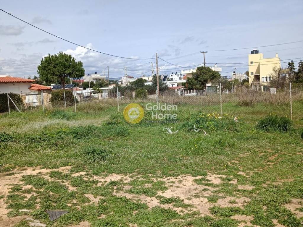 Κυρίως Χώρος