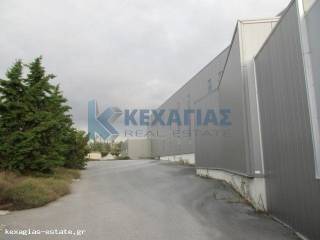 ΕΞΩΤΕΡΙΚΗ ΛΗΨΗ