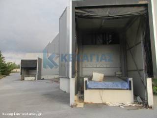 ΕΞΩΤΕΡΙΚΗ ΛΗΨΗ