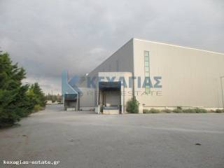 ΕΞΩΤΕΡΙΚΗ ΛΗΨΗ