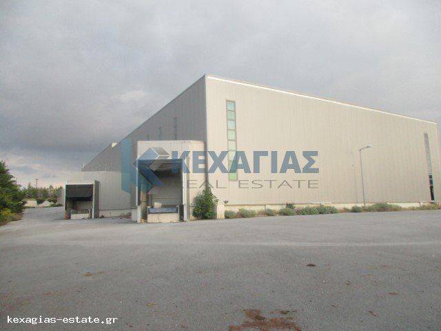 ΕΞΩΤΕΡΙΚΗ ΛΗΨΗ