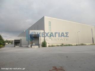 ΕΞΩΤΕΡΙΚΗ ΛΗΨΗ