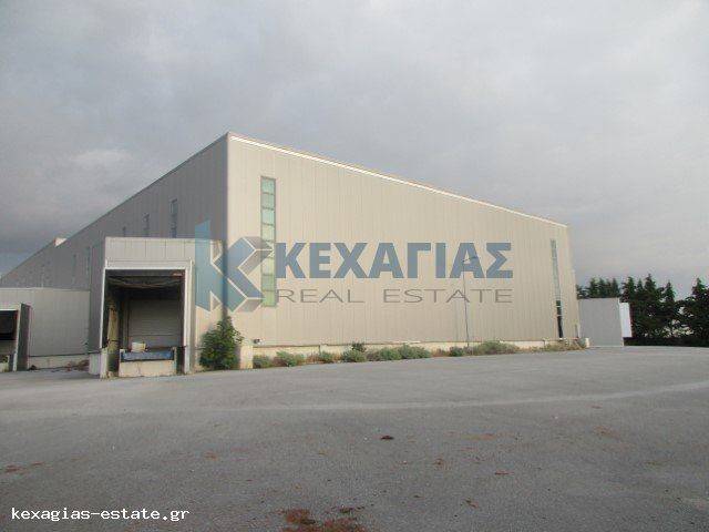 ΕΞΩΤΕΡΙΚΗ ΛΗΨΗ