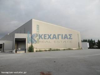 ΕΞΩΤΕΡΙΚΗ ΛΗΨΗ