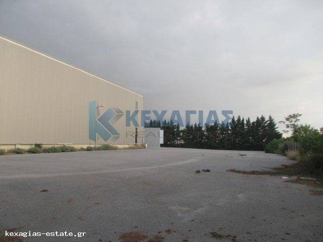 ΕΞΩΤΕΡΙΚΗ ΛΗΨΗ