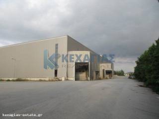 ΕΞΩΤΕΡΙΚΗ ΛΗΨΗ