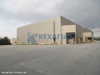 ΕΞΩΤΕΡΙΚΗ ΛΗΨΗ