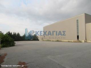 ΕΞΩΤΕΡΙΚΗ ΛΗΨΗ