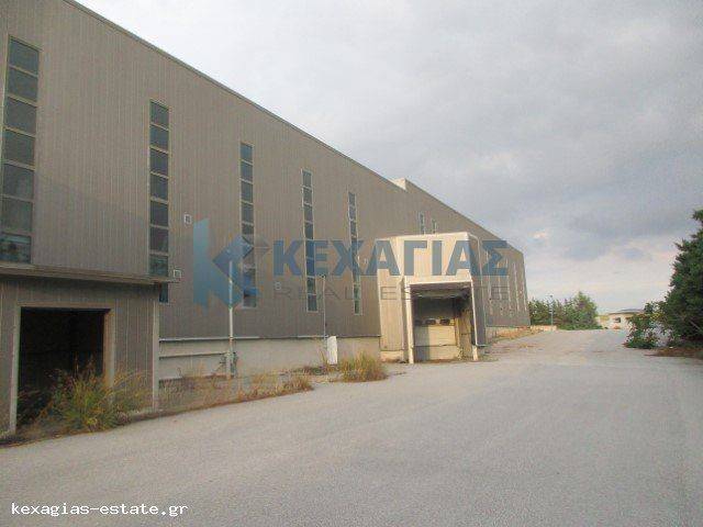 ΕΞΩΤΕΡΙΚΗ ΛΗΨΗ