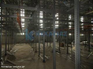 ΕΣΩΤΕΡΙΚΗ ΛΗΨΗ