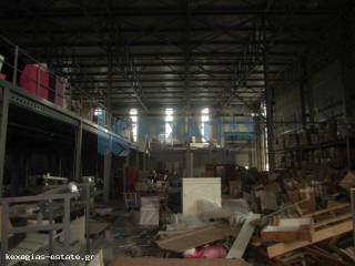 ΕΣΩΤΕΡΙΚΗ ΛΗΨΗ