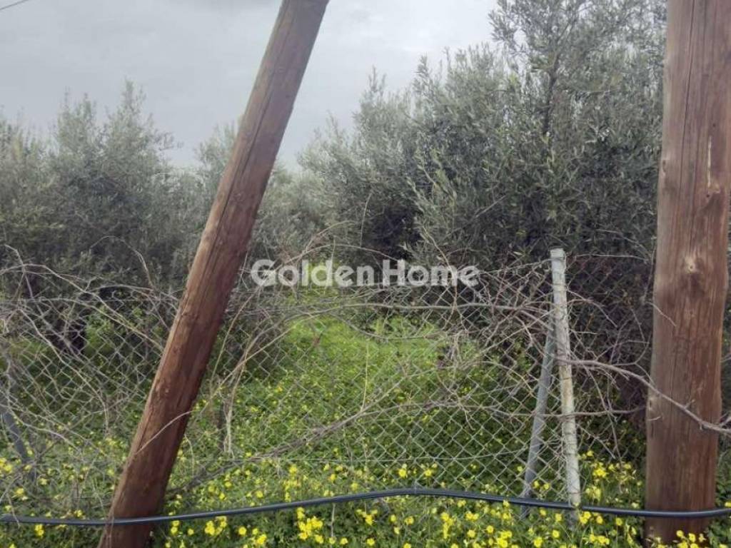 Εξωτερικός Χώρος