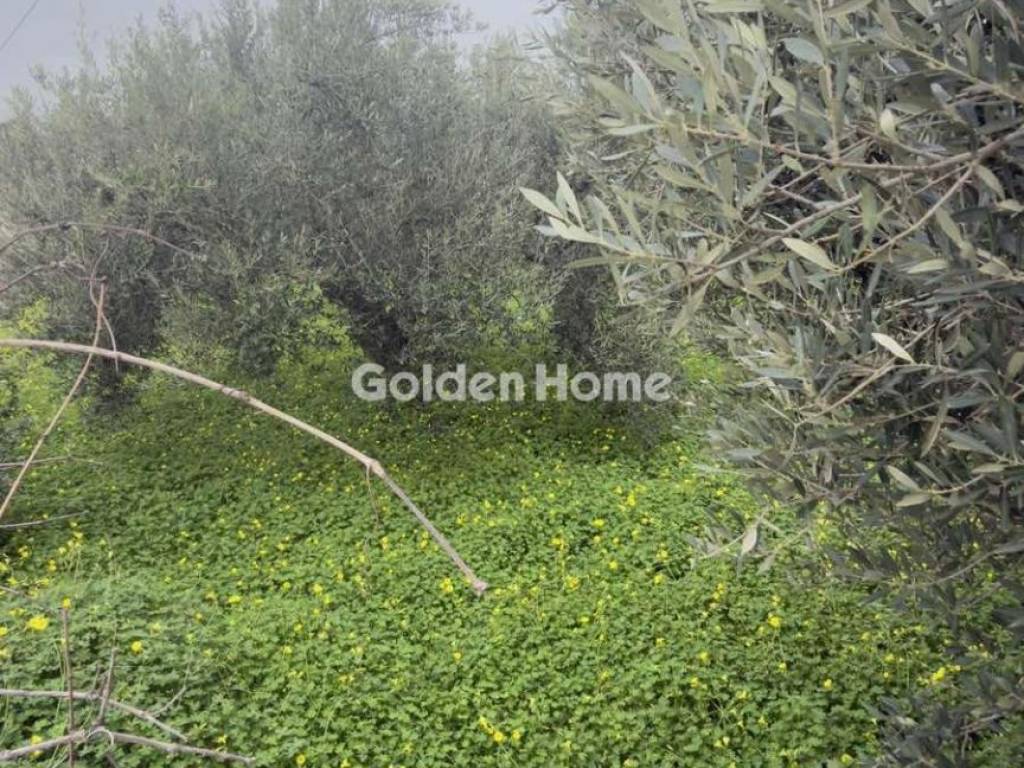 Εξωτερικός Χώρος