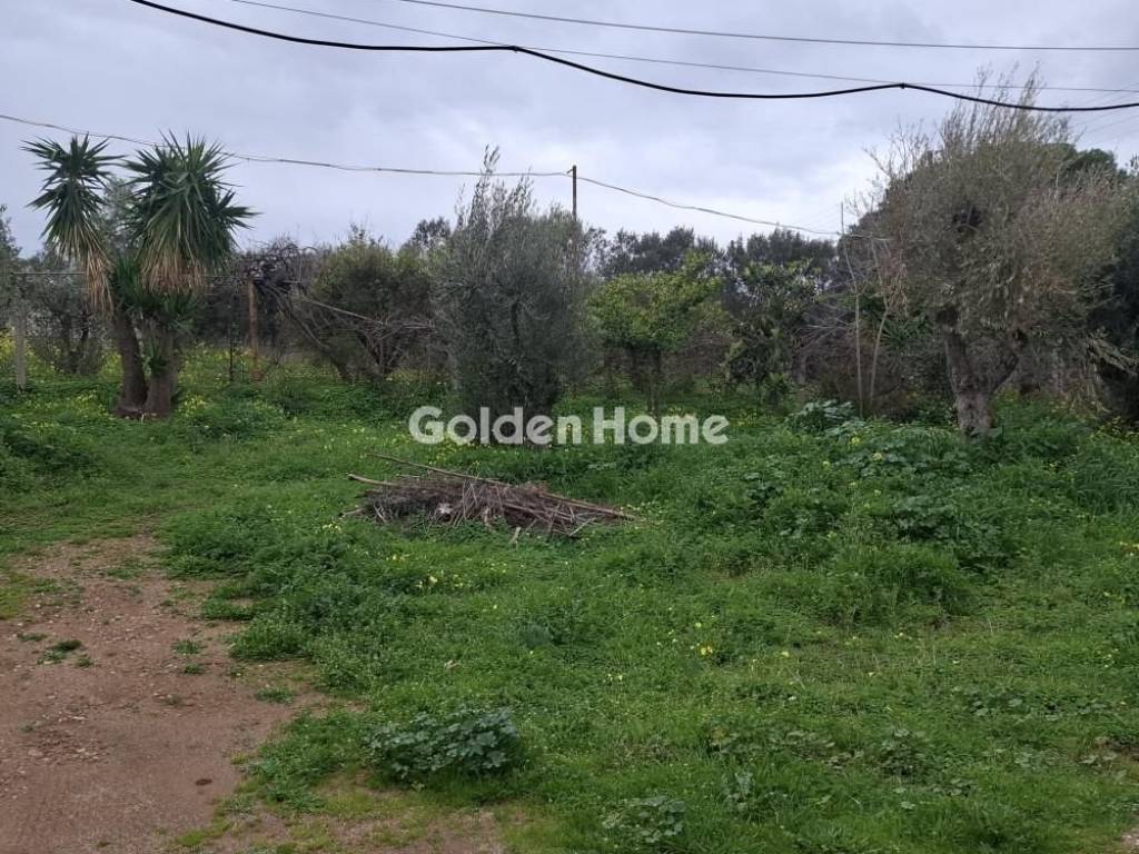 Εξωτερικός Χώρος