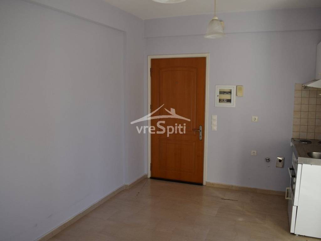 ΑΠΟΨΗ ΚΟΥΖΙΝΑΣ-ΕΙΣΟΔΟΣ