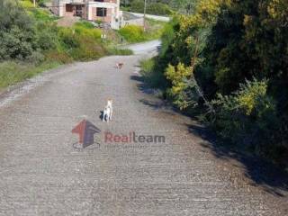 Εξωτερικοι χώροι