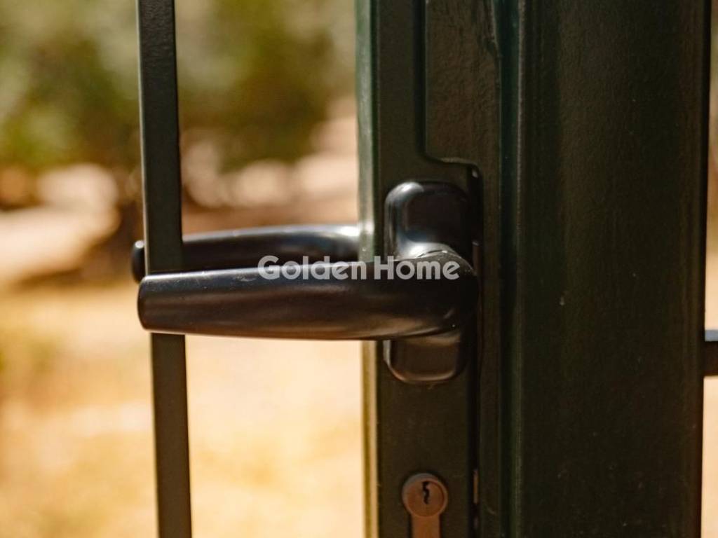 Κυρίως Χώρος