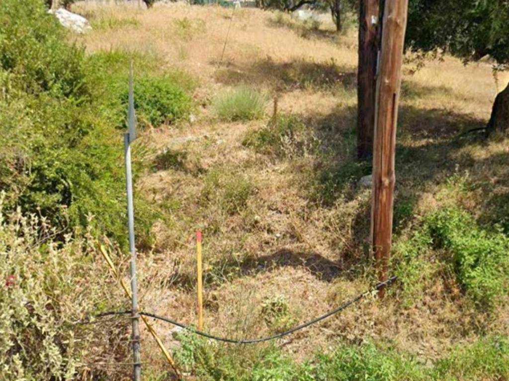 ΕΠΙ ΚΕΝΤΡΙΚΗΣ ΟΔΟΥ ΚΑΡΥΑΣ ΚΑΙ ΓΩΝΙΑΚΟ  20Μ ΦΑΤΣΑ