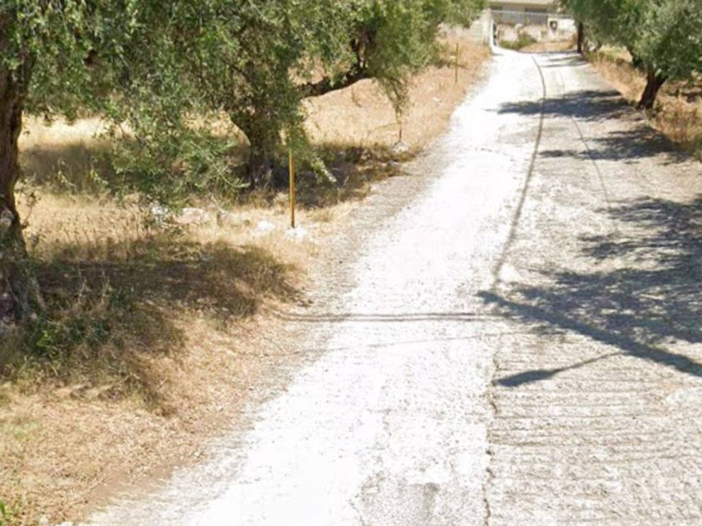 ΕΠΙ ΚΕΝΤΡΙΚΗΣ ΟΔΟΥ ΚΑΡΥΑΣ ΚΑΙ ΓΩΝΙΑΚΟ