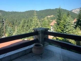 THEA SPITIOY APO TO SALONI