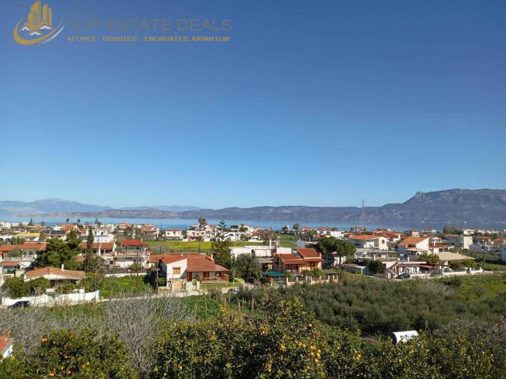 ΘΈΑ ΘΆΛΑΣΣΑ