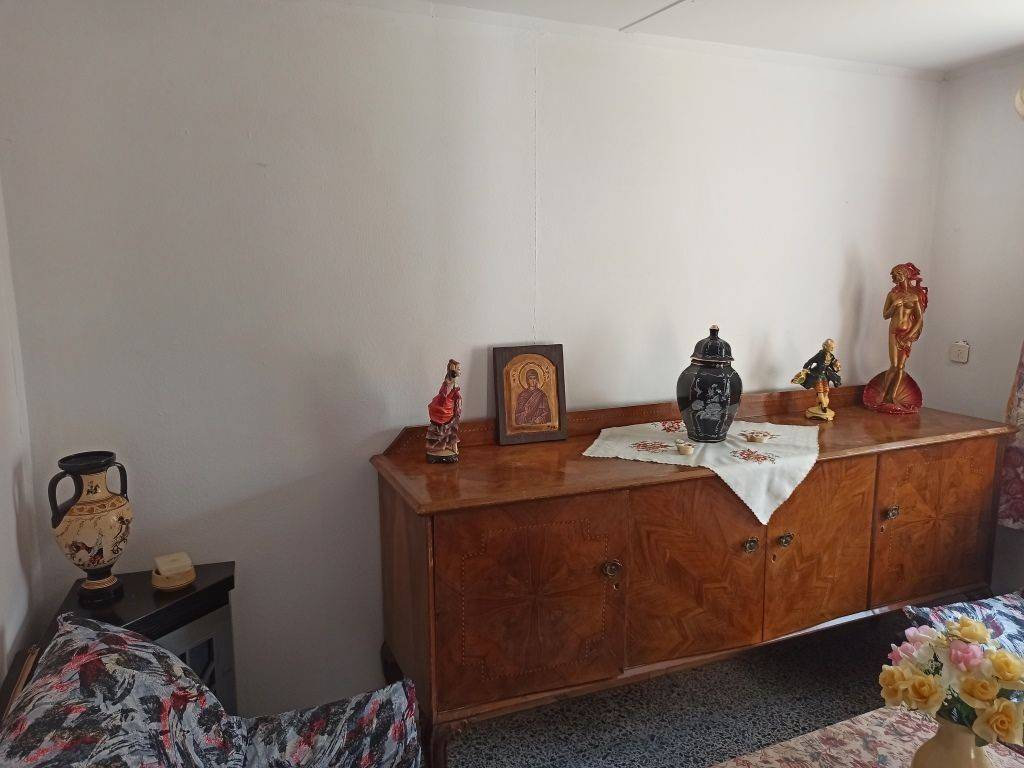 TO SALONI TES MONOKATOIKIAS