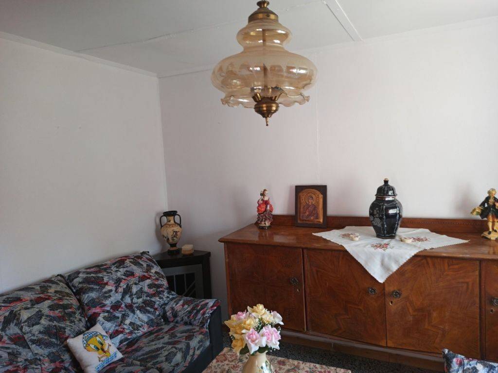 TO SALONI TES MONOKATOIKIAS