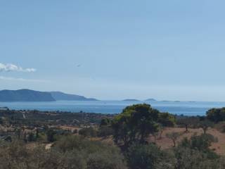 ΘΕΑ ΑΓΡΟΤΕΜΑΧΙΟΥ